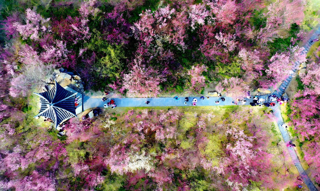 图片 4