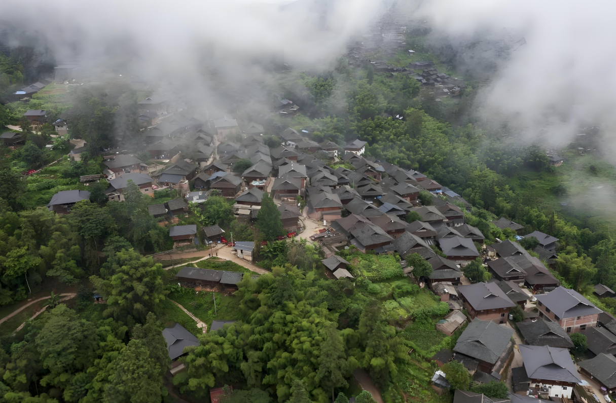 图片 5