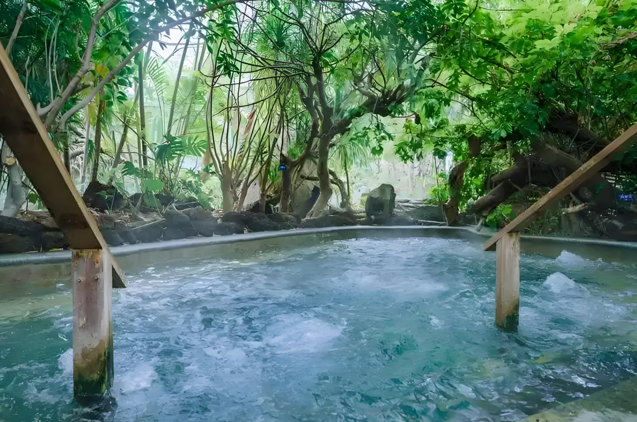 图片 1