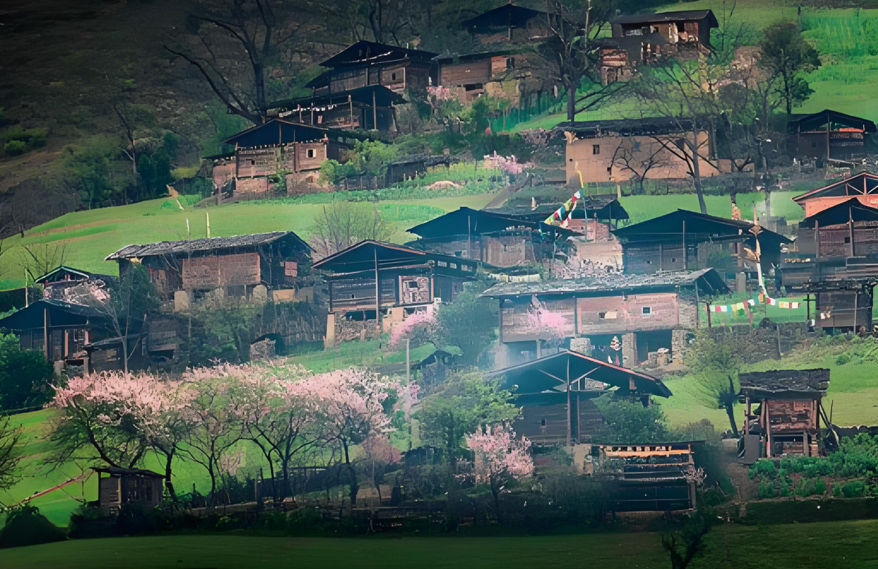 图片 1
